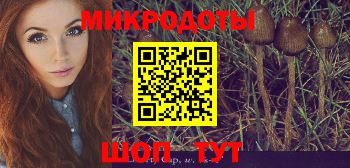 купить наркотики цена  Псилоцибиновые грибы мицелий  Вход с VPN  Избербаш 