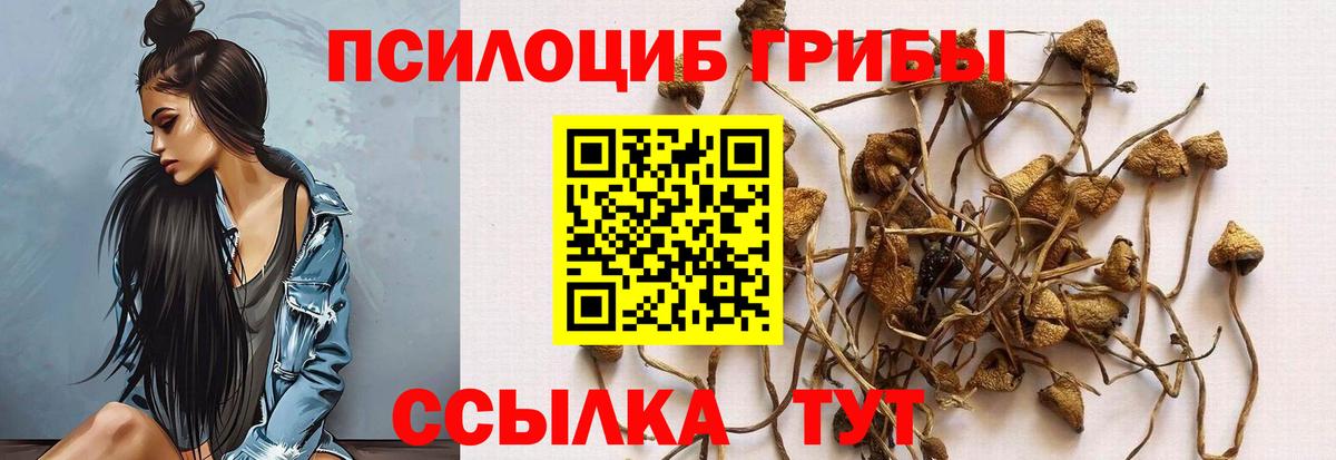 Псилоцибиновые грибы MAGIC MUSHROOMS Избербаш
